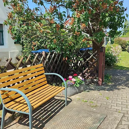 Apartment - Altlockwitz